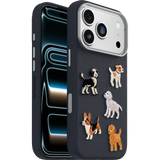 iPhone 18 Pro and iPhone 17 Pro Symmetry Series Cactus Leather Embroidery Case
